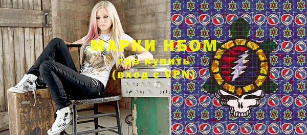 сатива Яровое