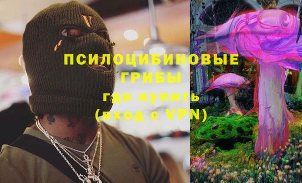 ECSTASY Абаза