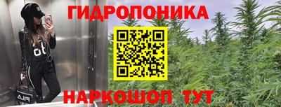 дживик Гатчина