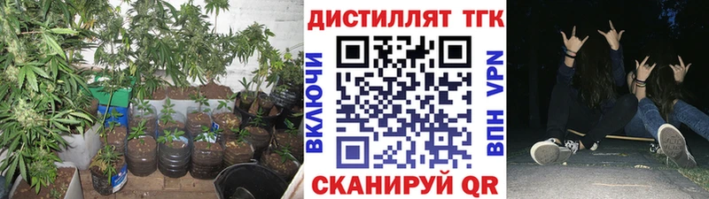 площадка состав  Севастополь  Дистиллят ТГК вейп 