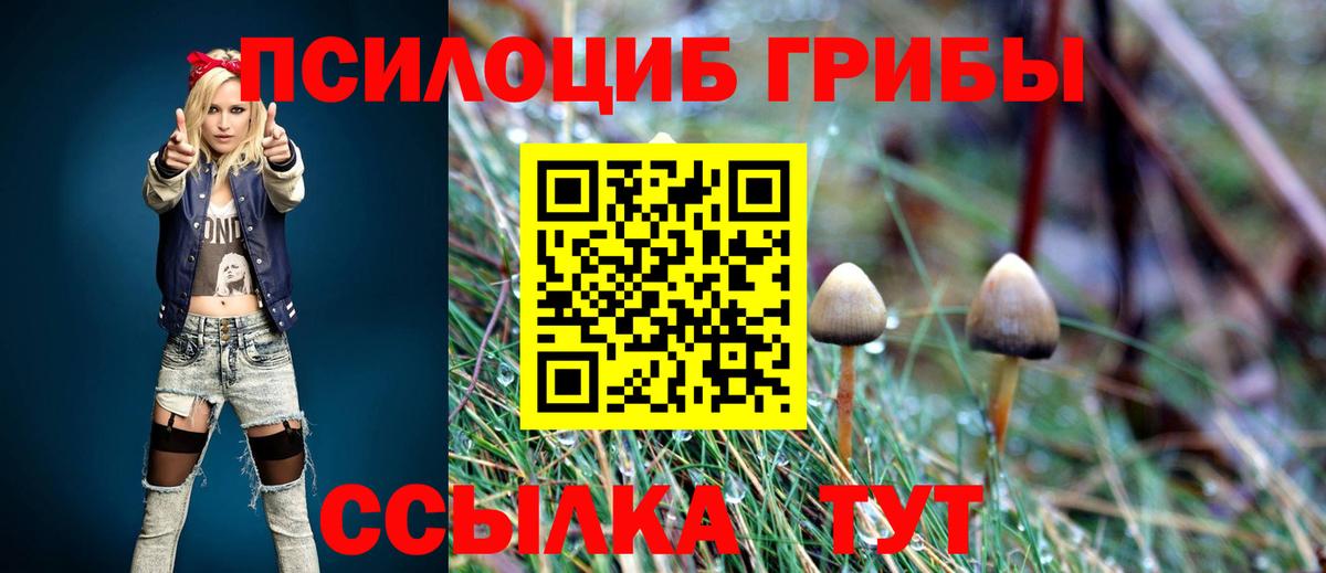 купить наркотик  Псилоцибиновые грибы Magic Shrooms  Севастополь  Вход с VPN  Галлюциногенные грибы Psilocybine cubensis 