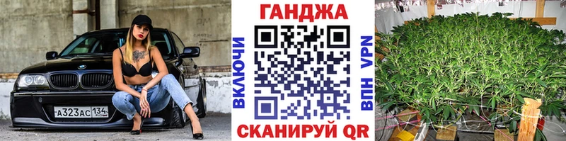 Бошки марихуана планчик  Севастополь 